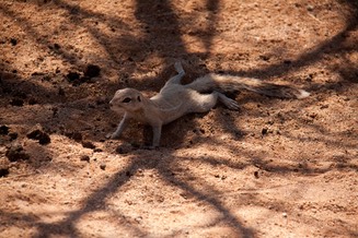 IMG 3758