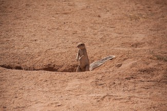 IMG 3763