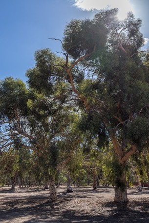 IMG 4348-HDR