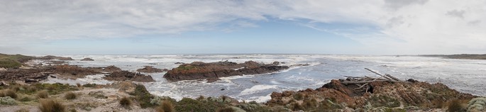 IMG 4367-Pano
