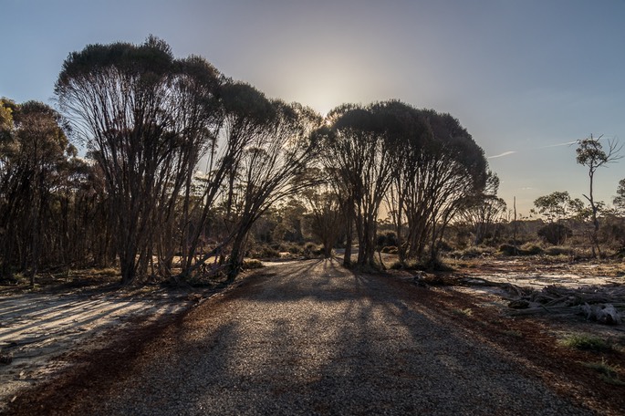 IMG 4538-HDR