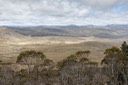 IMG 4553