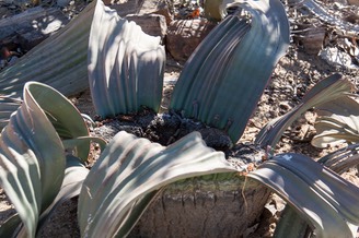 IMG 4590