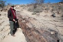 IMG 4591