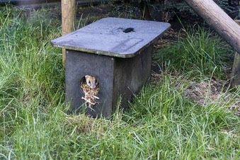 IMG 4609