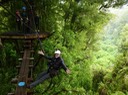 IMG 4667