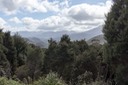 IMG 4753