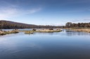 IMG 4957