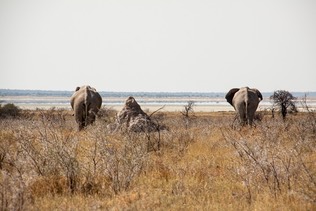 IMG 5576