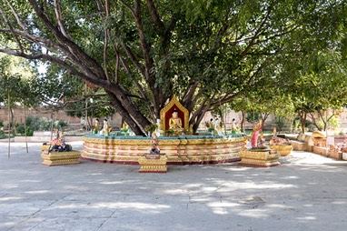 IMG 5805