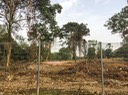 IMG 6895