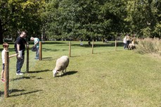 IMG 8065
