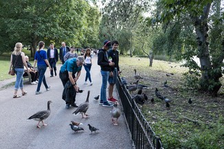 IMG 8215