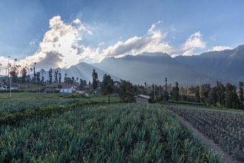 IMG 8356-HDR