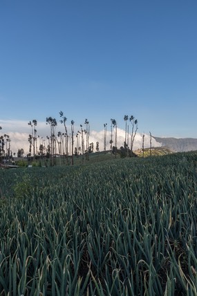 IMG 8365-HDR