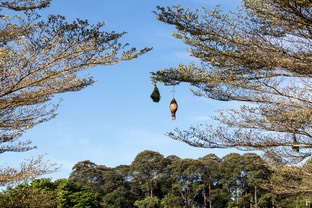 IMG 8468