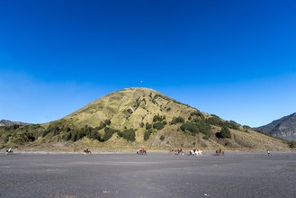 IMG 8702