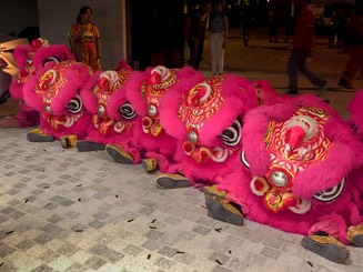 IMG 9555