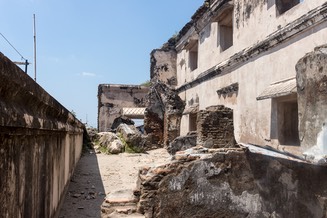 IMG 9582