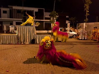 IMG 9604
