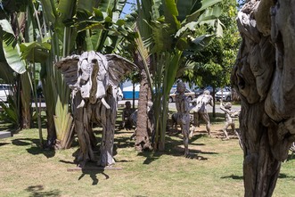 IMG 9763