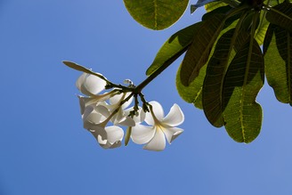 IMG 9787