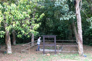 IMG 9877