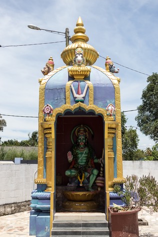 IMG 9938