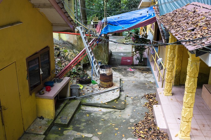 IMG 9942