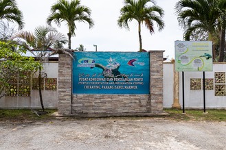 IMG 9989