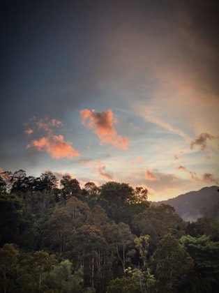 thumb IMG 5114 1024