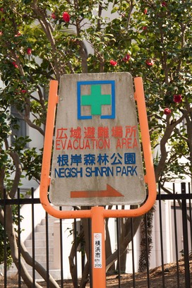 IMG 0787