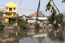 IMG 8169