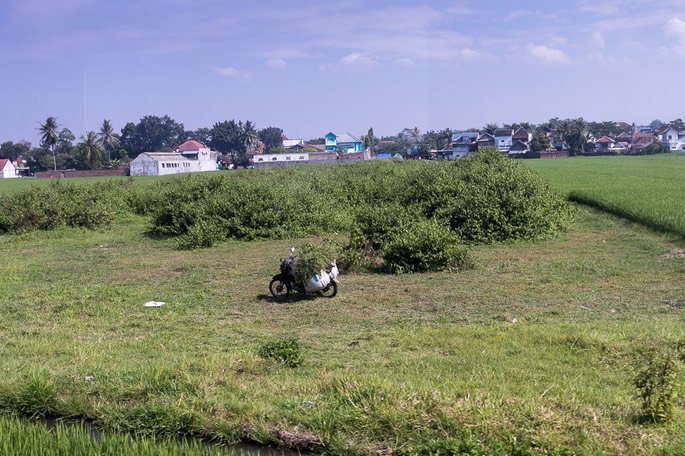 IMG 9123